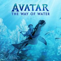 Avatar DVD